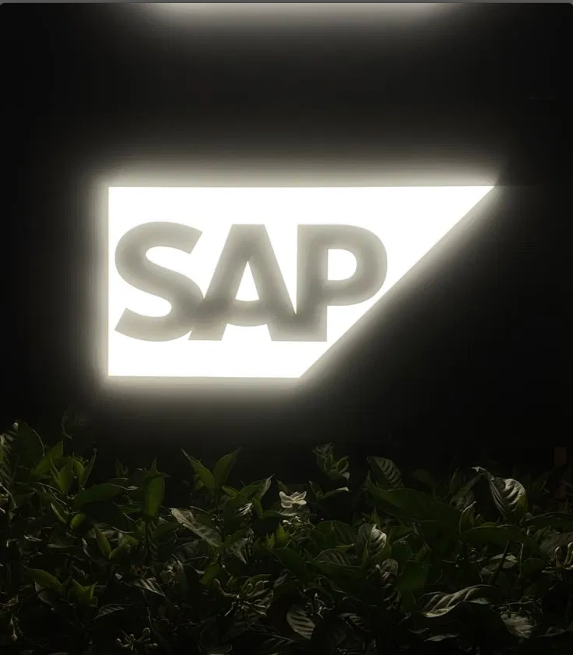 Preview of Hitanshi's work at SAP